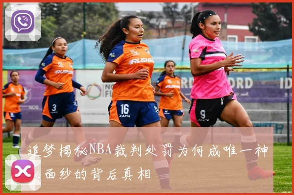 追梦揭秘NBA裁判处罚为何成唯一神秘面纱的背后真相