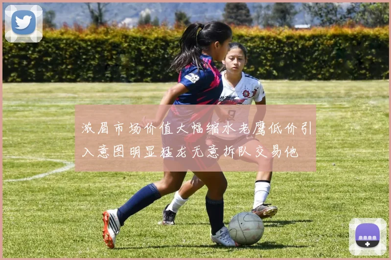 浓眉市场价值大幅缩水老鹰低价引入意图明显猛龙无意拆队交易他